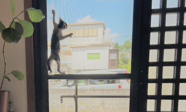 いつかやらなきゃと思っていた！