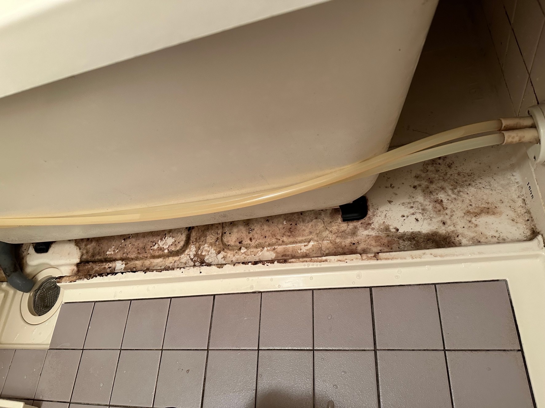 浴槽のエプロンを取り外した状態｜名古屋の浴室クリーニング イークリーン