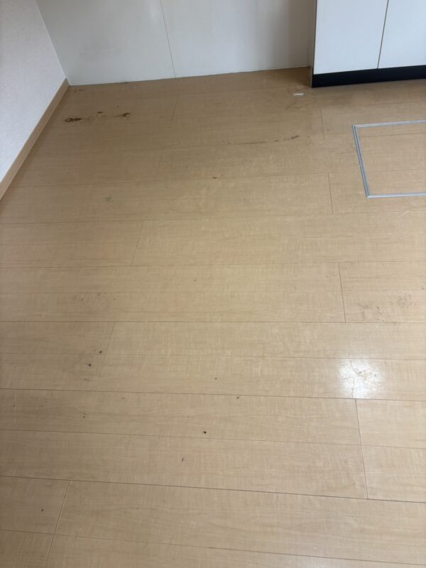 あま市2DK洗浄前